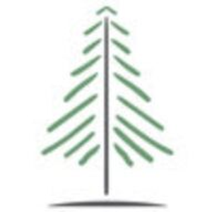 Pine Tree Pediatric Dentistry - Logo