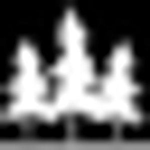 Detroit Country Club - Logo