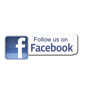 Bucktail Guide Service - Logo