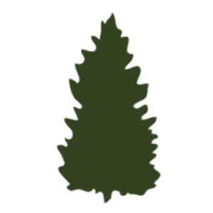 Hedgemasters - Cedar Hedge Trimming , Reduction and Removal - Logo