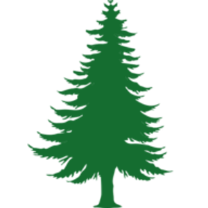 Yankee Hill Landscaping - Logo