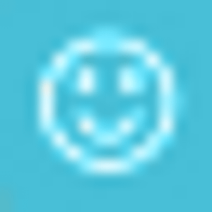 The Rug Scrubber - Logo