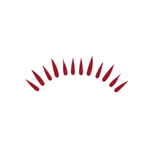Kirin Chinese Restaurant And Cocktail Bar - Logo