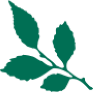 Elmwood Cemetery - Logo