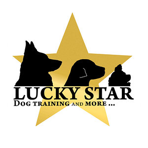 Lucky Star Dog Training - Logo