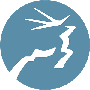 Unbridled - Logo