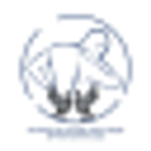 Hands of Stone Wellness and Performance - Logo