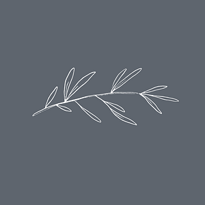 Julie Williams Design - Logo