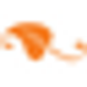 Clementine Salon - Logo