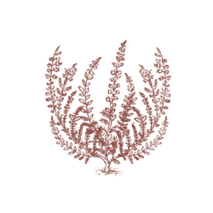 Calluna Vineyards - Logo