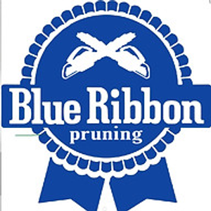 Blue Ribbon Pruning