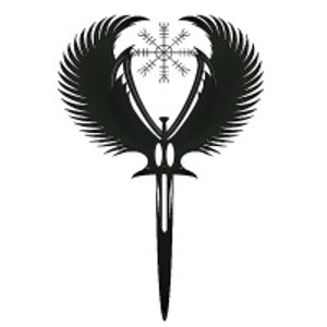 Viking Custom Accessories - Logo
