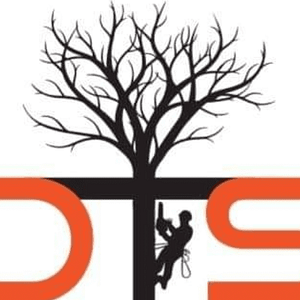 Davis Tree Surgeons