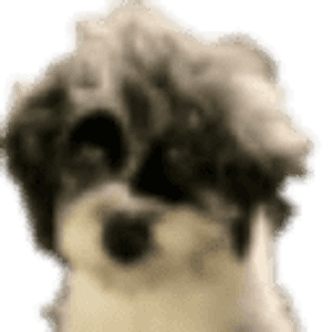 Litchfield Perfect Pups - Logo