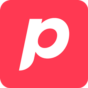 Page Pros - Local SEO Agency - Logo