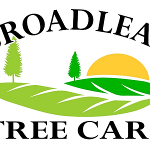 Broadleaf Tree care