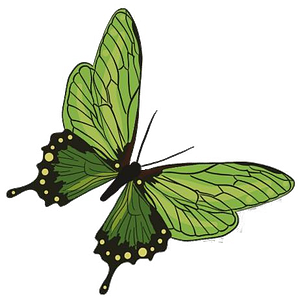 Monarch Books & Gifts - Logo