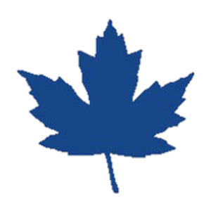 Mapleview Collision