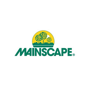 Mainscape - Logo