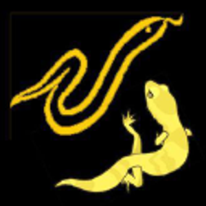 Snakess n Lizzards - Logo