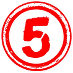 Five Guys Roofing - Logo