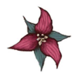 Birth Roots Community Midwifery - Logo