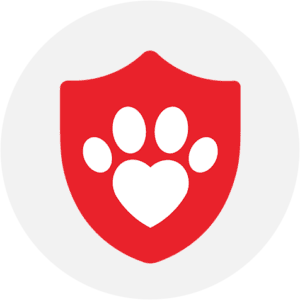 All Creatures Veterinary Center - Logo