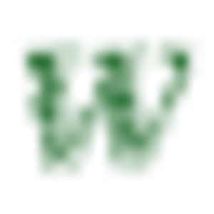 Montana Hunting & Fishing Outfitters - Logo