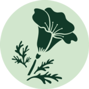 The Hummingbird | Ceviche House - Logo
