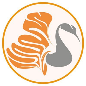 The Feminist Bookstore - Logo