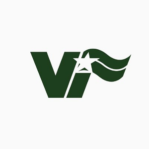 Village Insurance Inc - Logo
