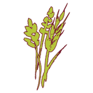 Wild By Nature - Logo