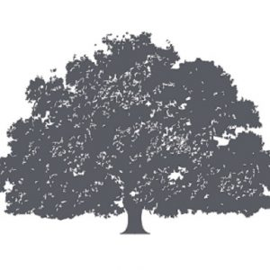 The Villas on Lake Macatawa - Logo