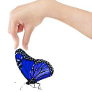 Blue Monarch Advanced Bodywork