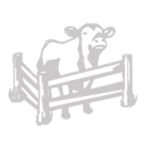 Bright Oak Meats