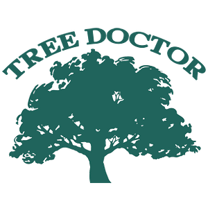 Tree Doctor Tree Services