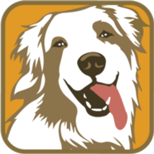 Chasing Tail Dog Training