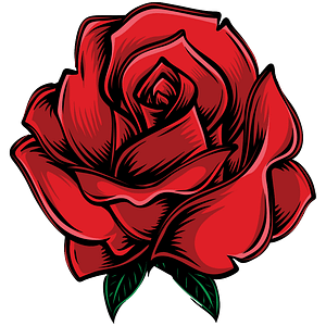 Chaparosa Roofing Inc. - Logo
