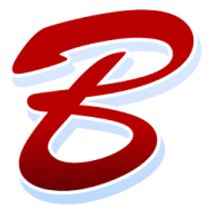 Braendel Painting & Remodeling - Logo