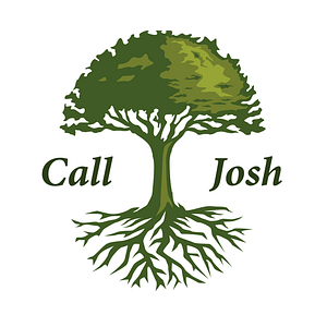 My Tree Guys - Logo