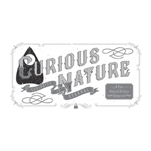 Curious Nature