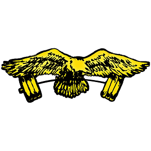Eagle Gym - Logo