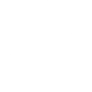Accident Recovery Center -Injury Pain Doctors & Chiropractors - Logo