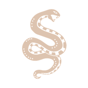 The Drift Collective | Local Goods Marketplace - Logo