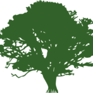 Amazing Lawns and Landscapes - Logo