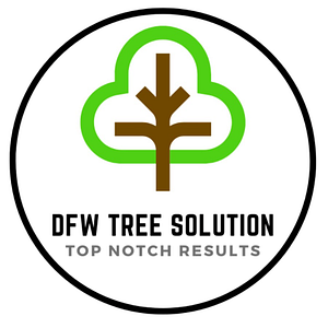 DFW Tree Solution