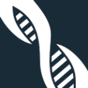 DNA Roofing and Siding