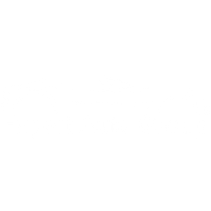 Expert Auto Group Inc - Logo