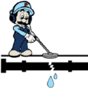 The Leak Whisperers - Logo