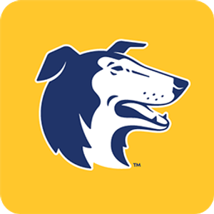 Dog Guard of Missouri - Logo